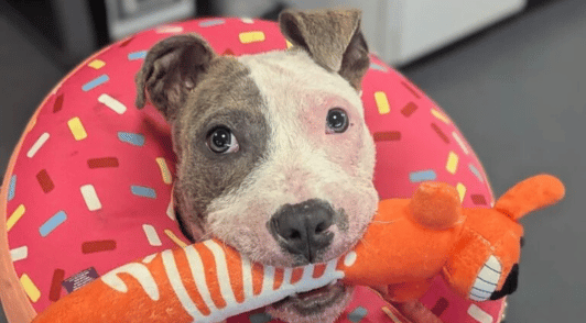 Cameron holding a toy
