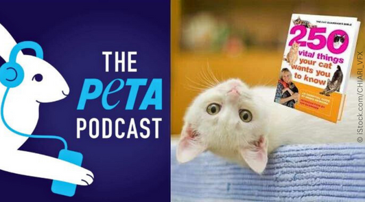 PETA podcast logo next to a cat on bed and a book about cats