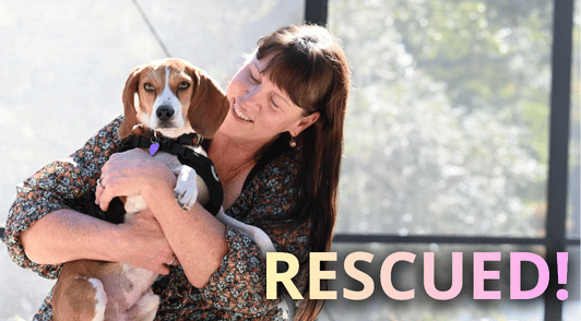 woman holding rescued beagle with the word rescued