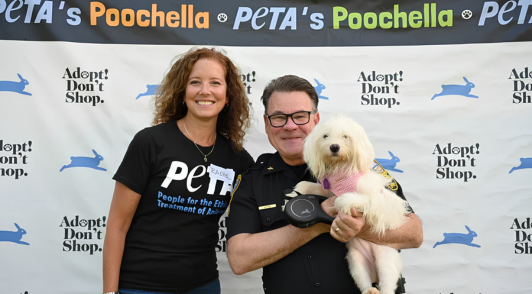 PETA staff member with adoptable dog at Poochella event