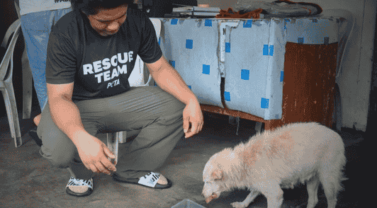 rescue team member feeding a dog after the storms
