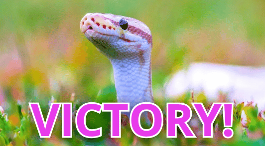 snake in the grass with the word victory