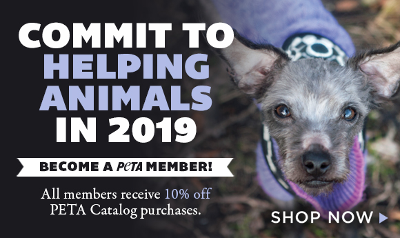 Commit to Helping Animals in 2019