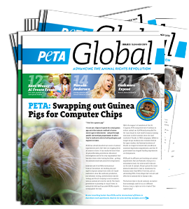 PETA Global