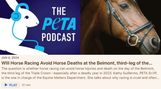 PETA podcast logo next to image of horse wearing reins above description of the podcast episode