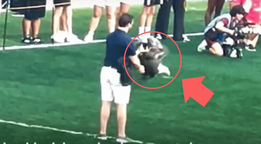 Handler holding Clark the bald eagle at sports game