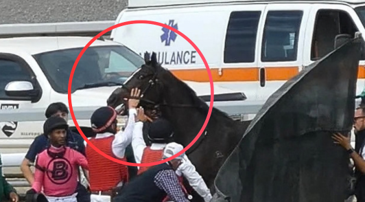 horse being covered up after leg shatters on track
