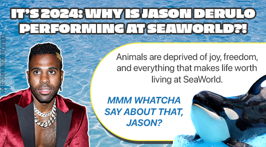Jason Derulo next to a text bubble and an orca
