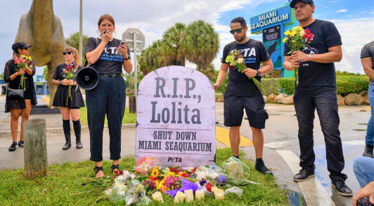 protesters at Lolitas memorial