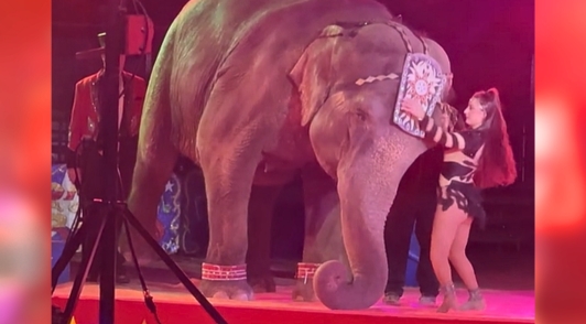 Okha during circus show next to woman