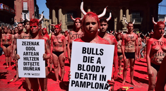 Pamplona protest with sign reading bulls die a bloody death in Pamplona