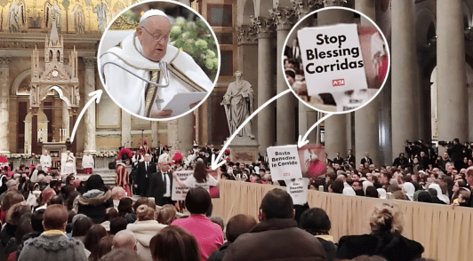 animal defenders with signs in the Vatican with the Pope