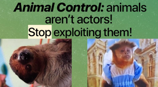 sloth and monkey from Animal Control with the text Animal Control animals are not actors stop exploiting them