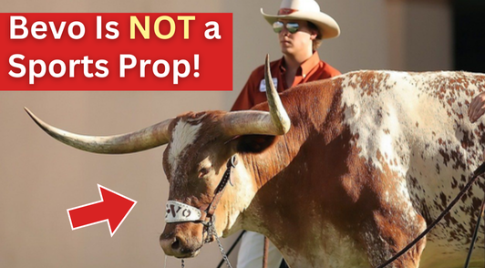 Bevo the steer next to a man and the words Bevo is not a sports prop