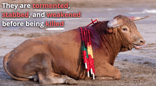 bleeding bull with the words they are tormented stabbed and weakened before being killed