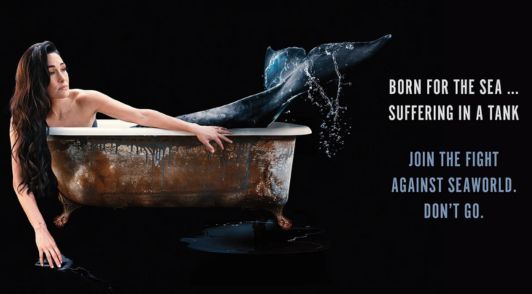 Brie Garcia in a bathtub and a orca tail with the words born for the sea suffering in a tank join the fight against seaworld dont go