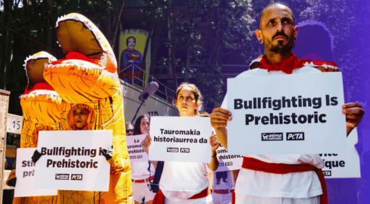 bullfighting demo with people dressed up as dinosaurs with signs reading bullfighting is prehistoric