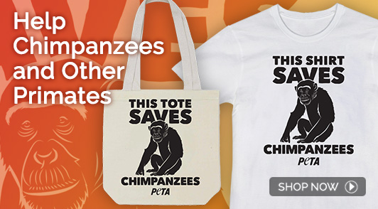 chimpanzee tote and tee