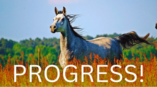 horse in field with the word progress