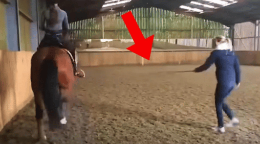 horse being whipped