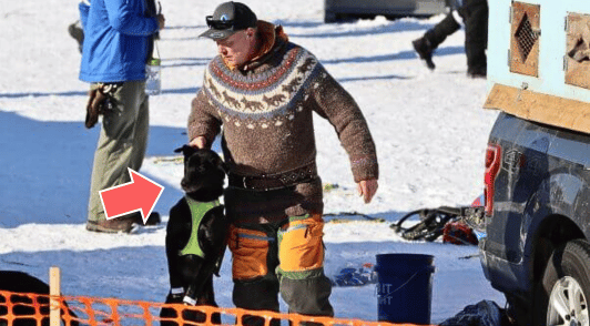 man carrying dog through the snow