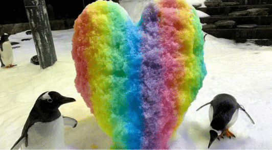 Penguins next to a heart shaped snow scultpure colored like a rainbow