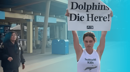 PETA runner holding sign reading dolphins die here