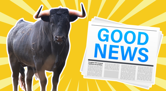 bull on yellow background with newspaper graphic reading good news
