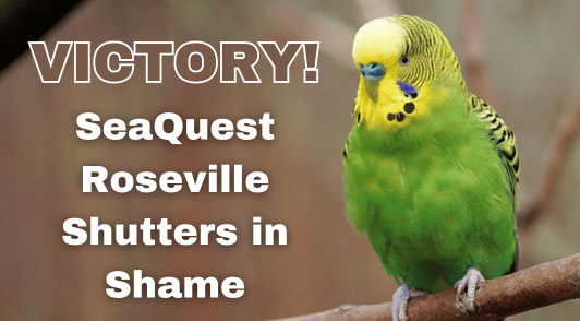 parakeet in nature with the words victory seaquest roseville shutters in shame