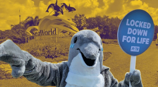 person dressed as a dolphin in front of SeaWorld holding a sign reading locked down for life