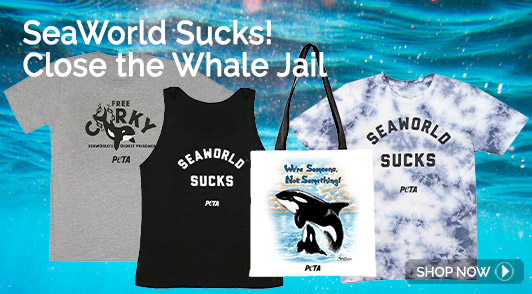 PETA SeaWorld Sucks tees