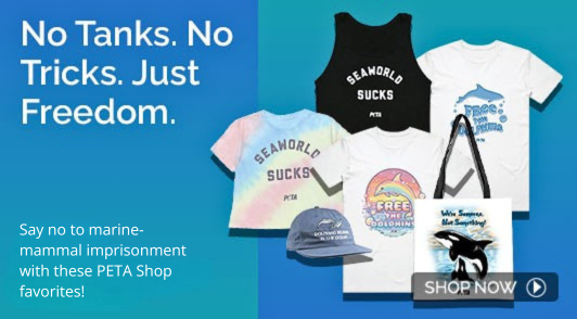 merch to speak out against SeaWorld