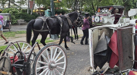 horse pulling carriage that got overturned