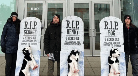 people holding up gravestones for the three dogs who died in the iditarod last year