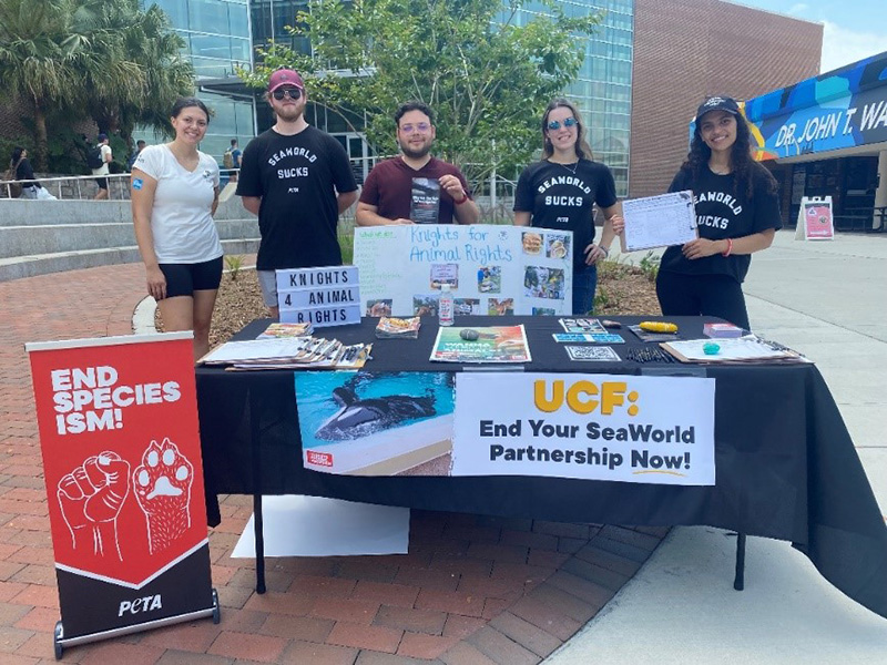 photo of demo at UCF