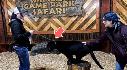 animal encounter at West Coast Game Park Safari