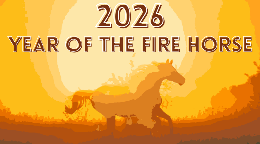 outline of a horse in the sunlight with the words 2026 year of the fire horse