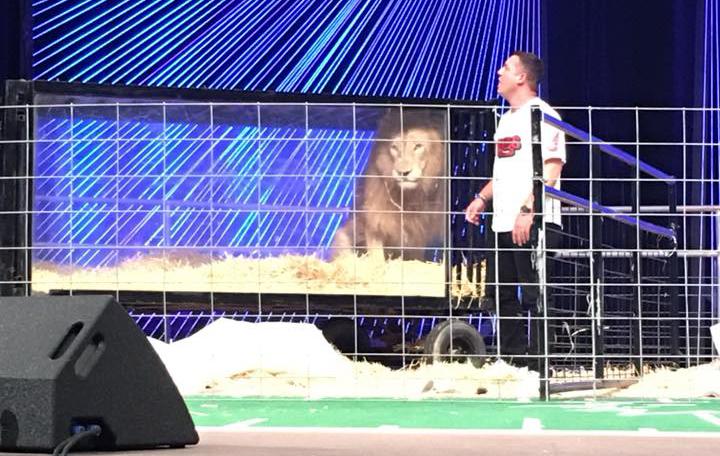 Tell This Church to Stop Using Live Animals as Sermon Props | PETA