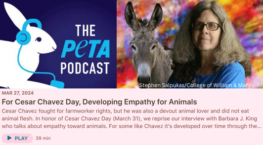 Author Barbara King next to a donkey above a description of the podcast episode