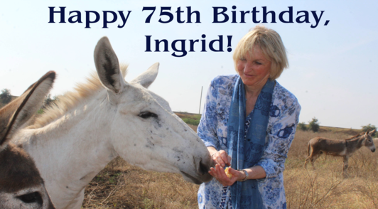 Ingrid Newkirk with donkey