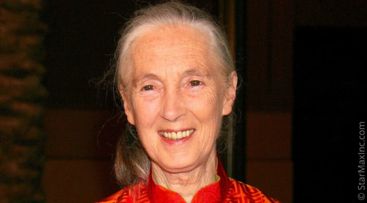 Jane Goodall