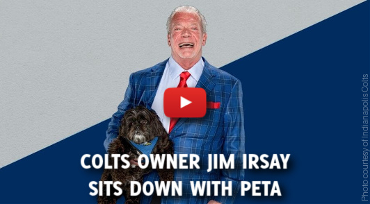 Jim Irsay holding his dog