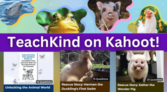 free TeachKind resources on Kahoot
