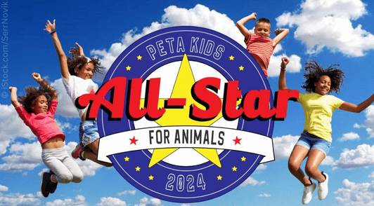 kids jumping in the air around the All Star for Animals contest logo