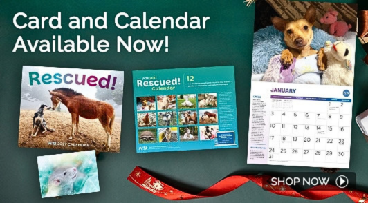 card and calendar at the PETA Shop