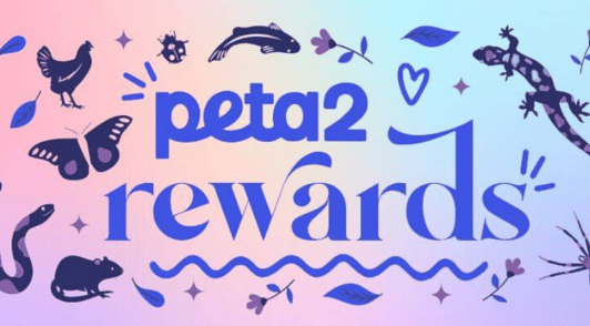 peta2 rewards banner