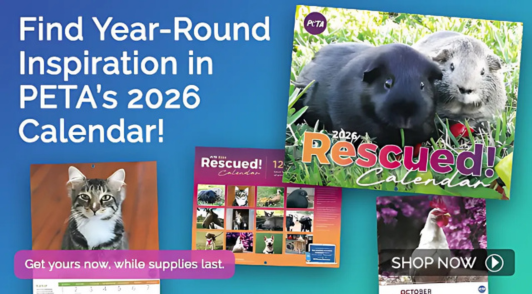 rescued calendar banner