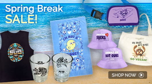 merch with a beach background with the words spring break sale