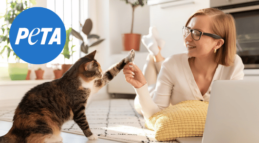 woman working on computer next to her cat