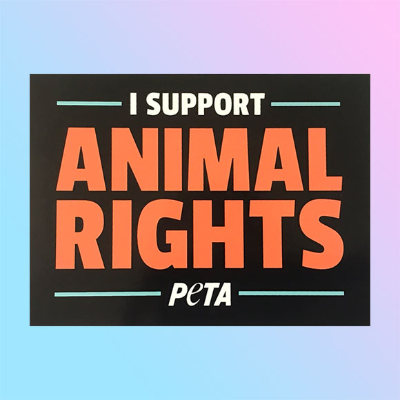I Support Animal Rights Sticker